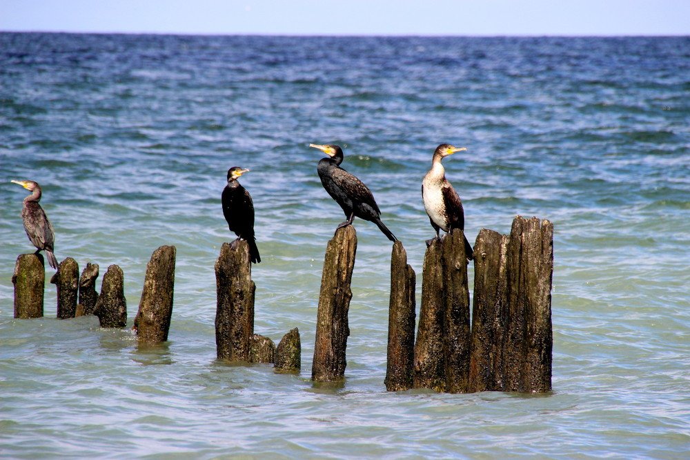 Photograph by Жанна Валиева