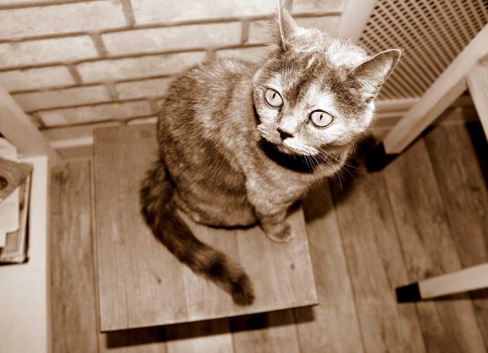 Photograph by Жанна Валиева