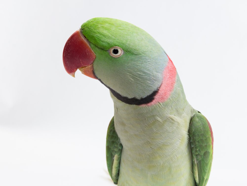 Фотография автора Анна Хабарова