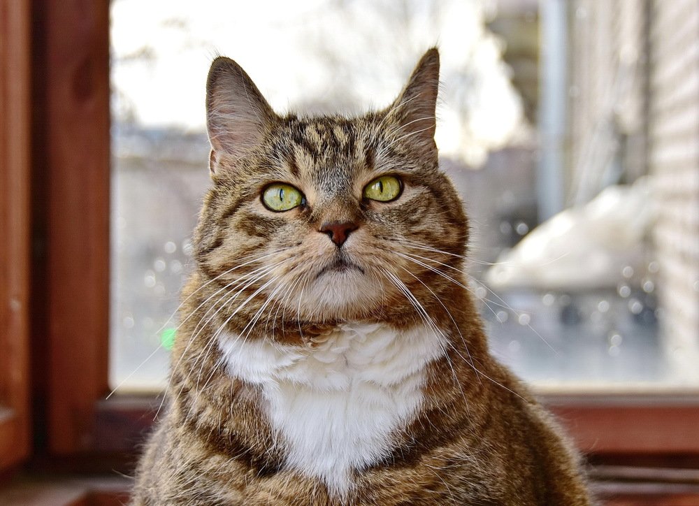 Photograph by Лидия Ушакова