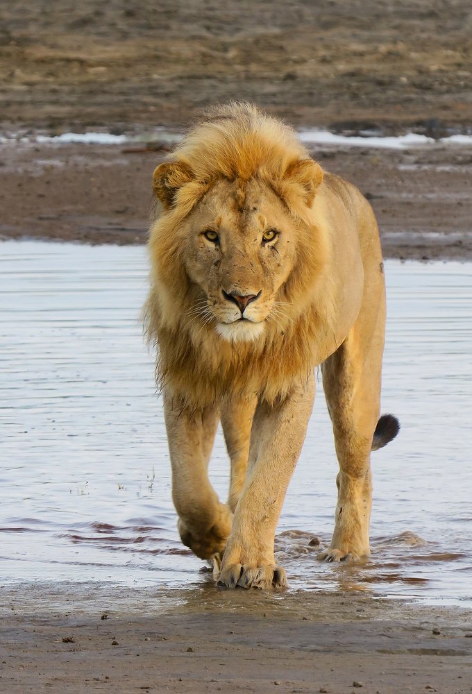 Photograph by Raquel Barao