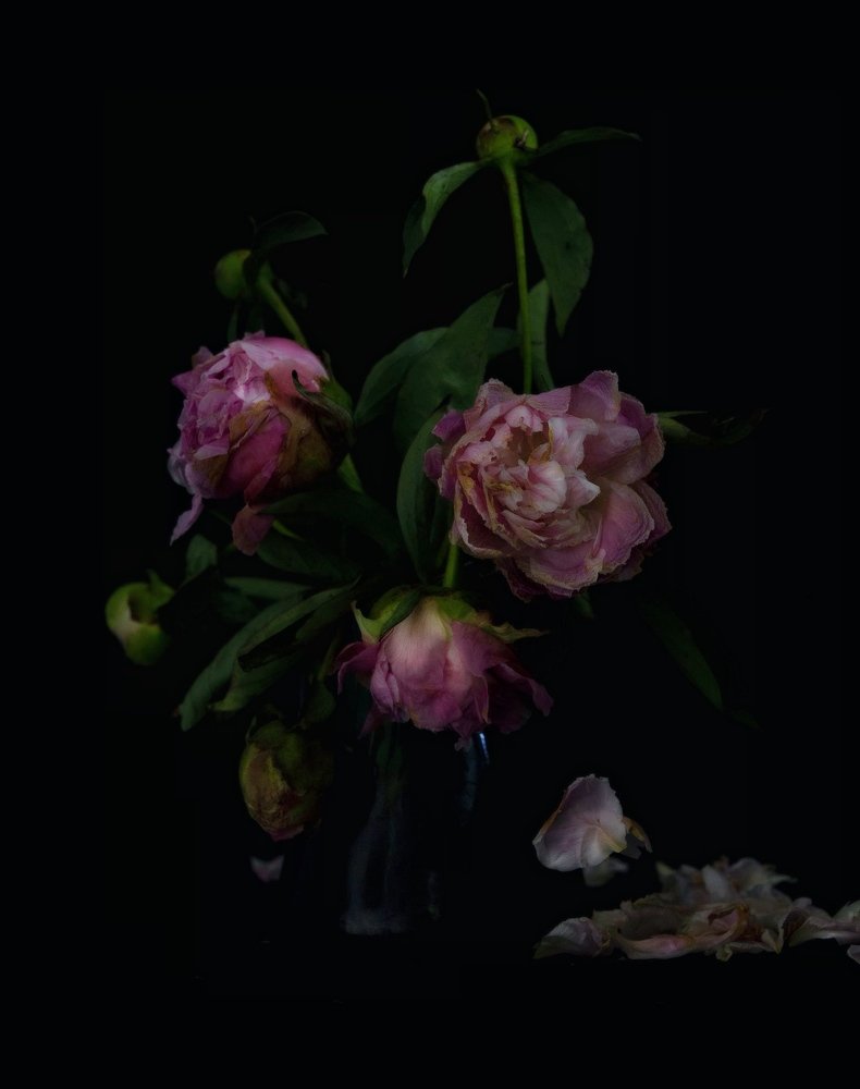 Photograph by Mei Bakker