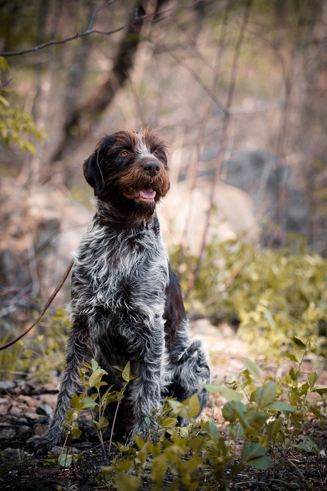 Photograph by Андрей Игнатенко