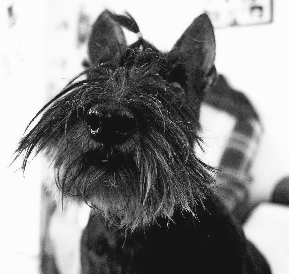 Photograph by Нина Минченко