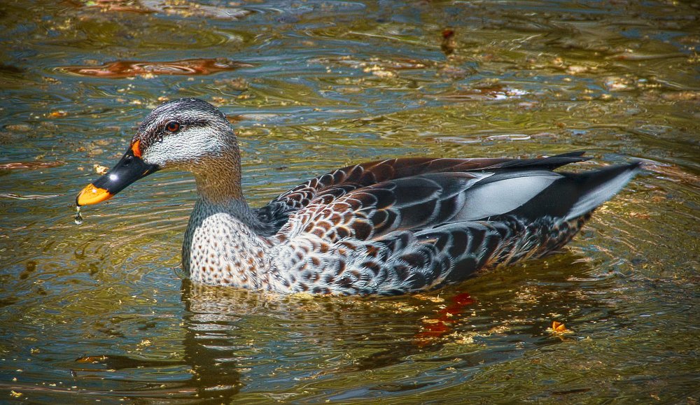 Photograph by Мычаковский Дмитрий