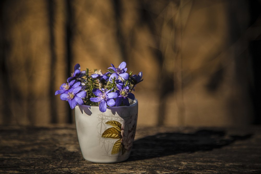 Photograph by Станислав Напалкин