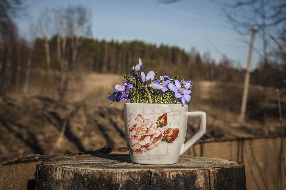 Photograph by Станислав Напалкин