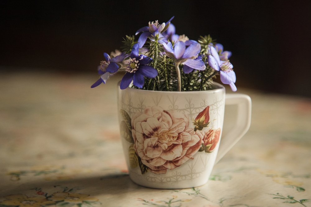 Photograph by Станислав Напалкин