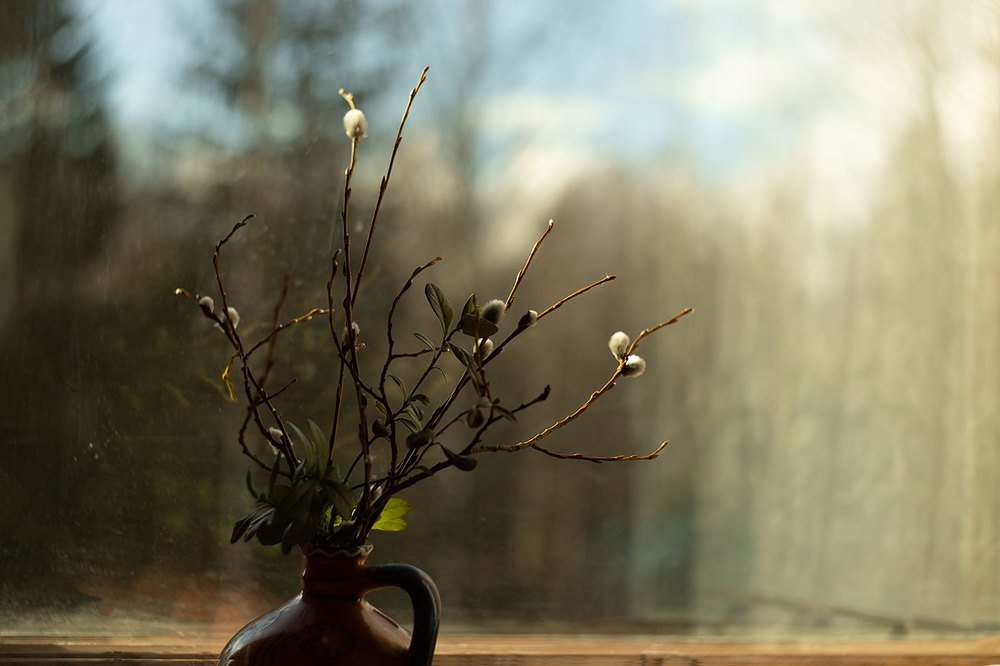 Photograph by Марго Лимп