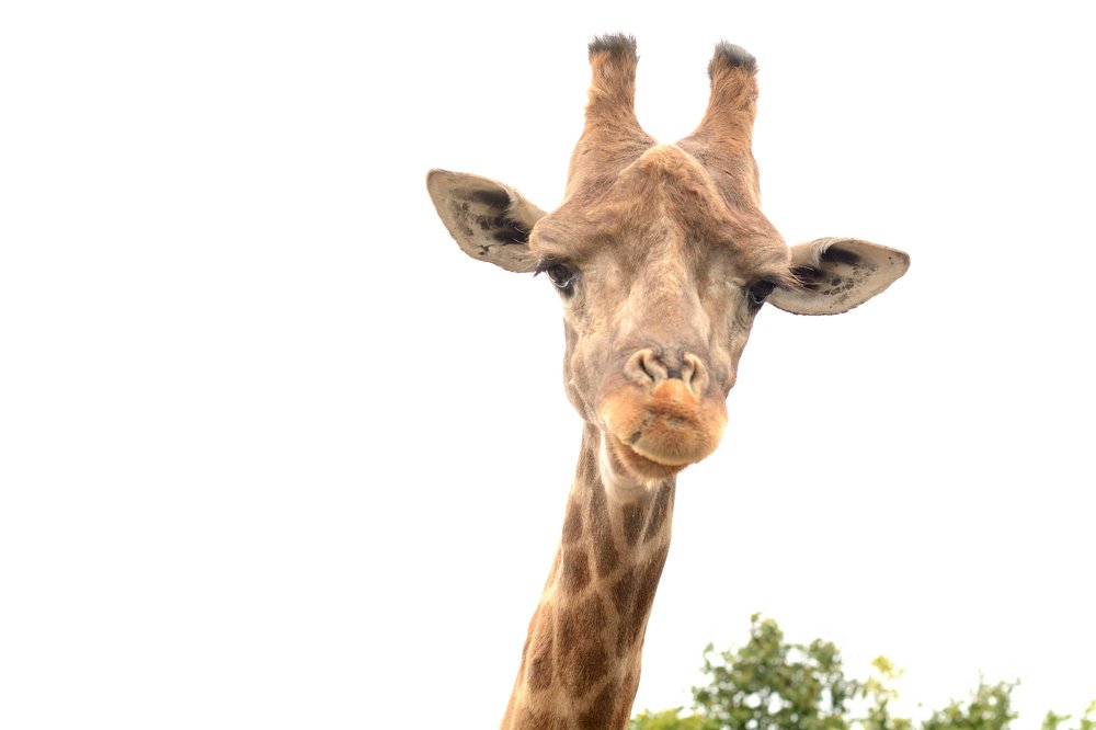 Photograph by Александра Ватутина