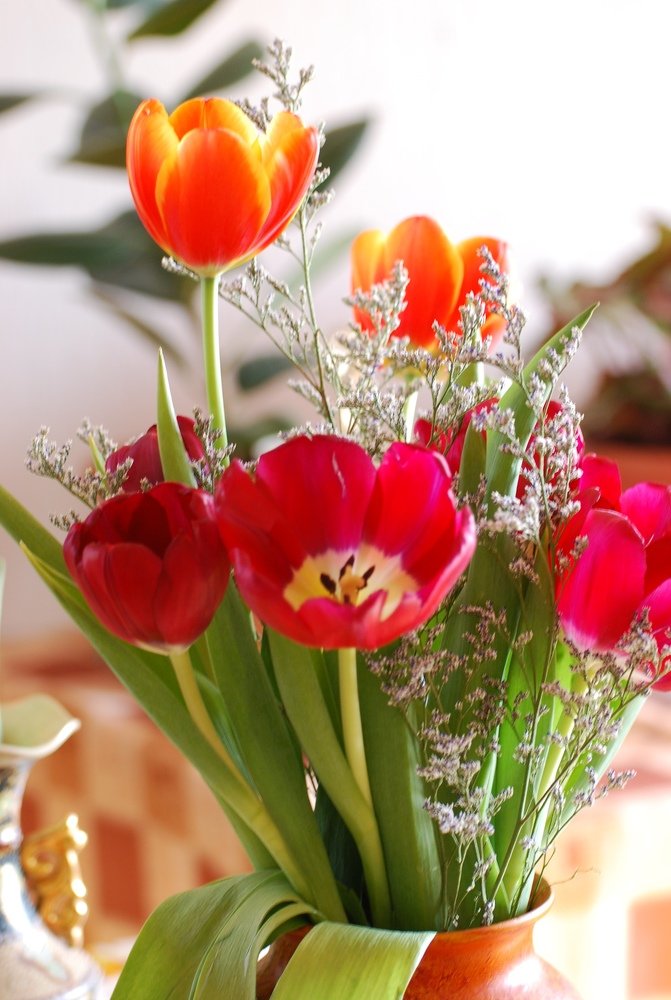 Photograph by Оксана Трофименко