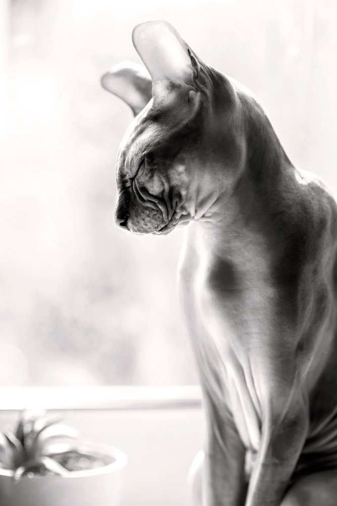 Photograph by Юлия Яровая