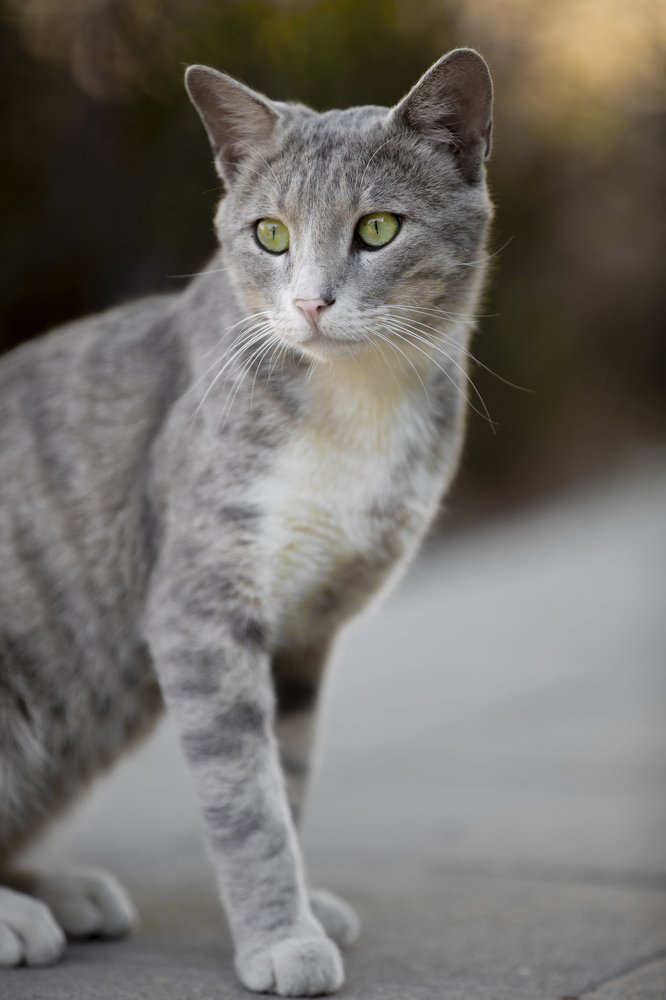 Photograph by Idit Profeta Ron