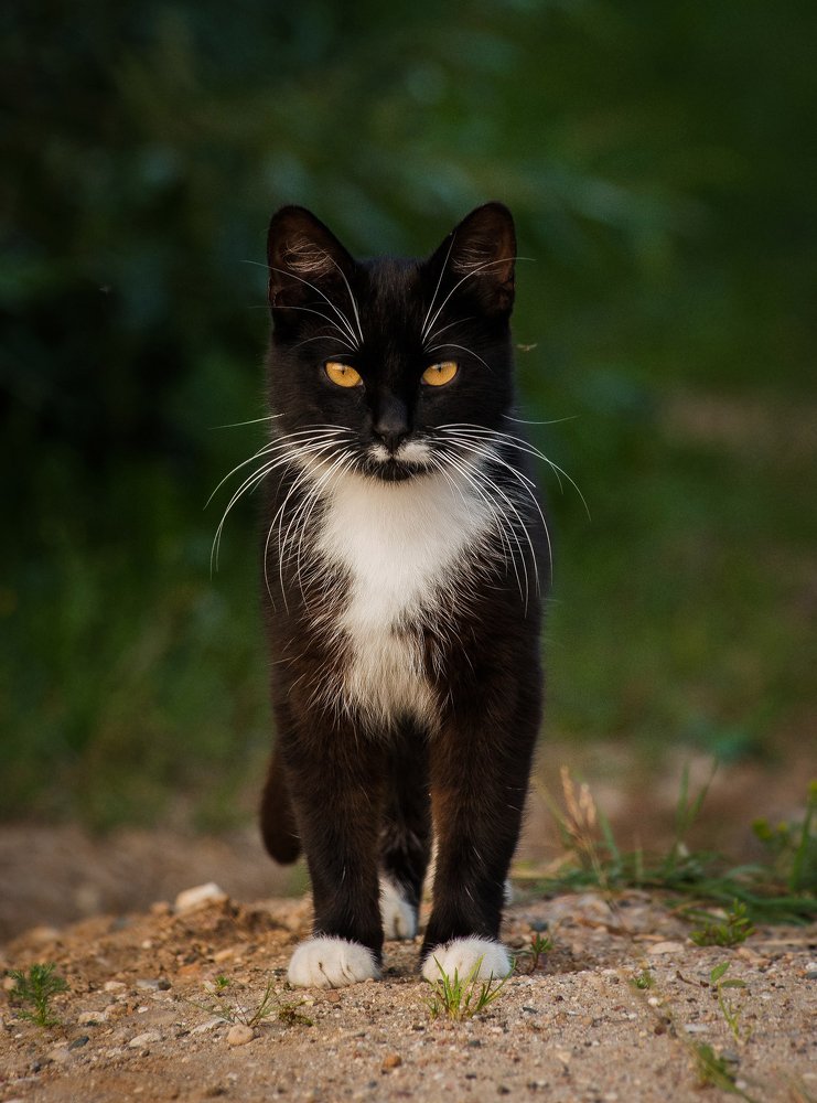 Photograph by Даркина Дарья