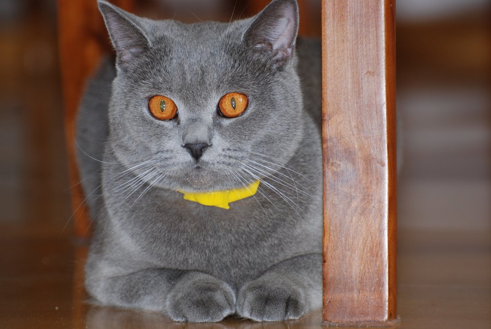 Photograph by Оксана Трофименко