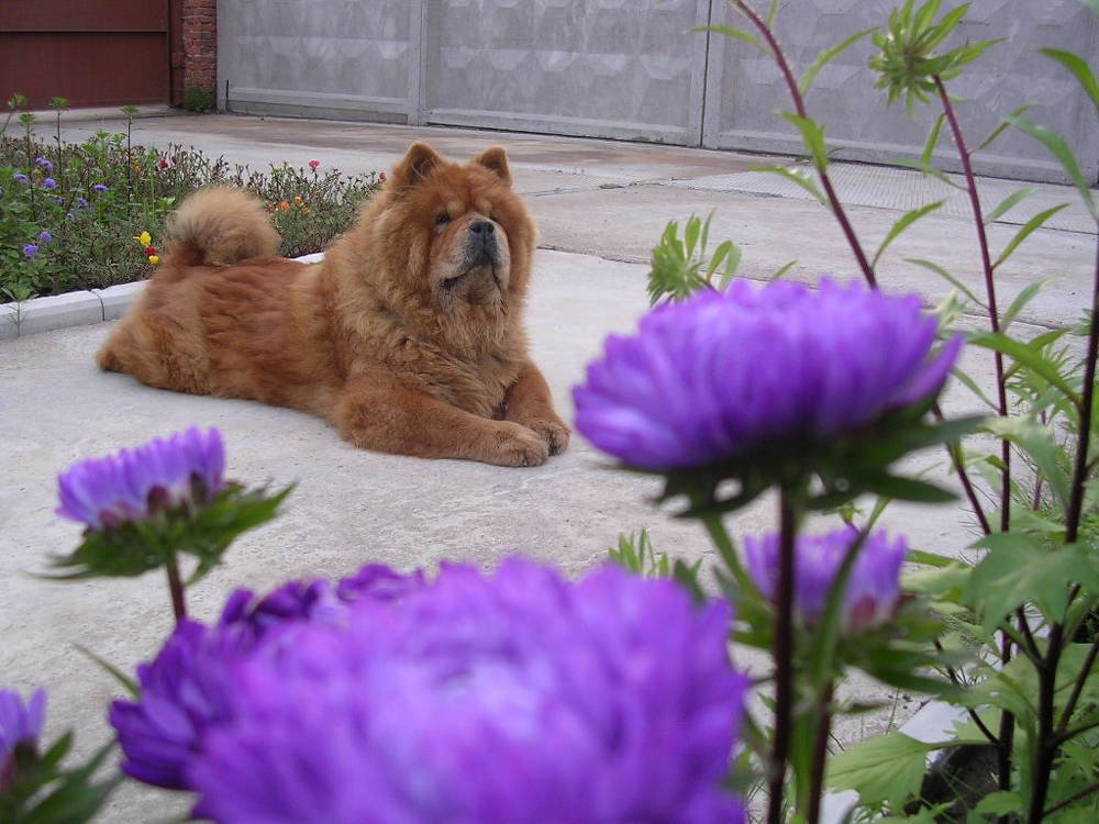 Photograph by Оксана Трофименко