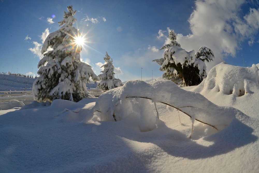 Фотография автора Игорь Ломов