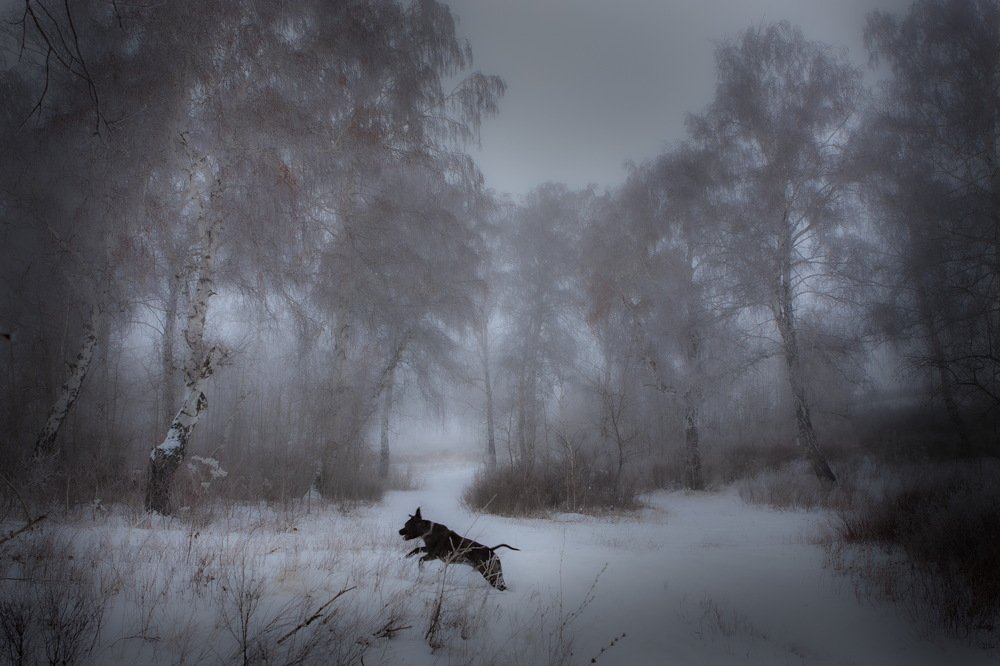 Photograph by петр чиков