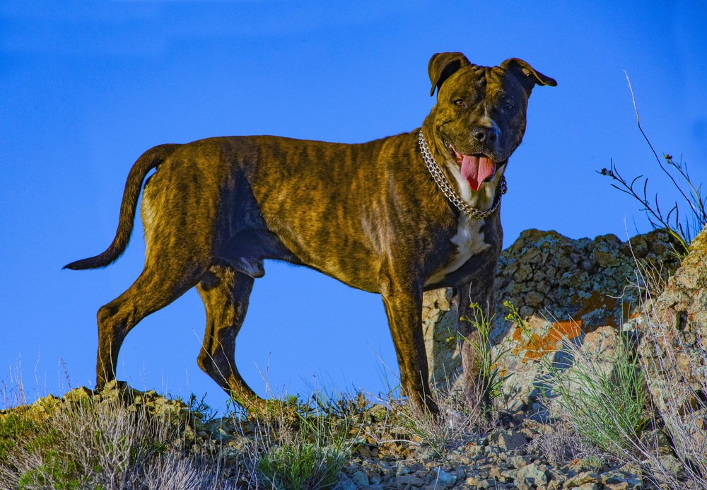 Photograph by петр чиков