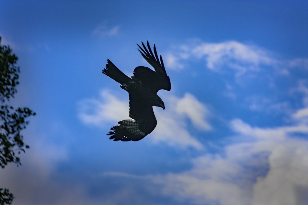 Photograph by петр чиков