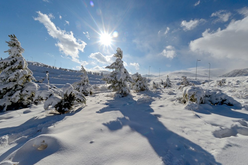 Фотография автора Игорь Ломов