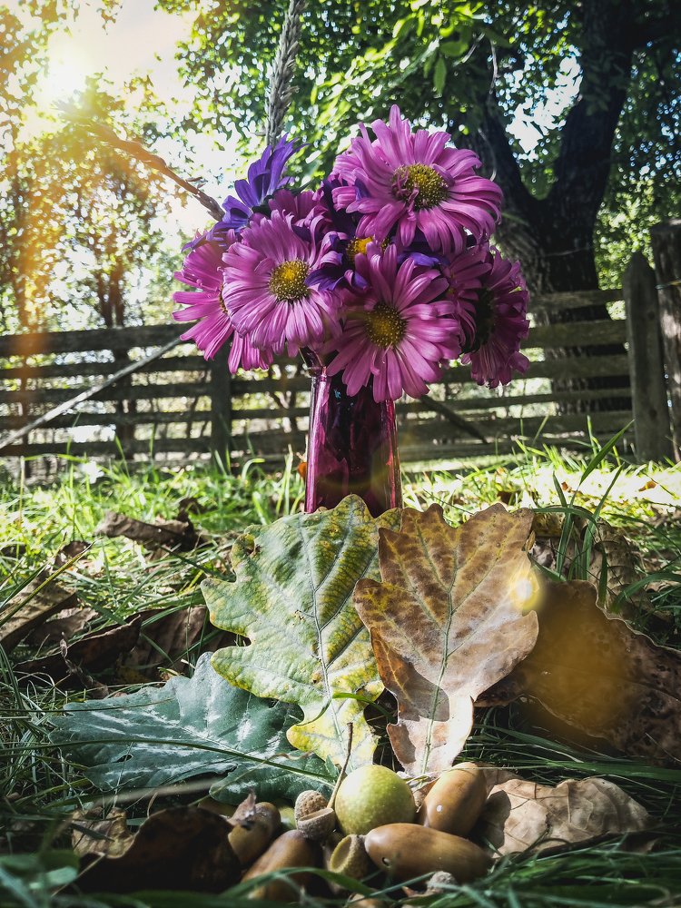 Photograph by Szilveszter Zoltan