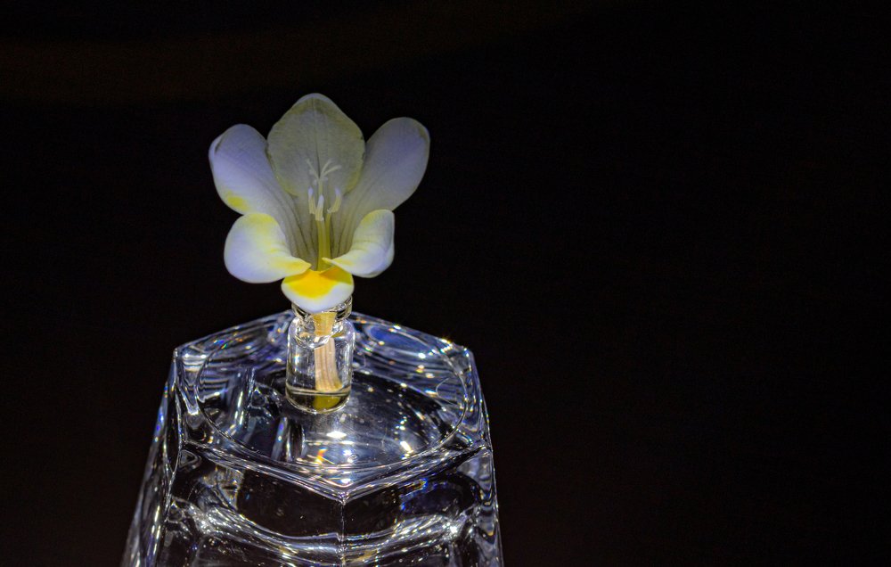 Photograph by Ali Abu Ras