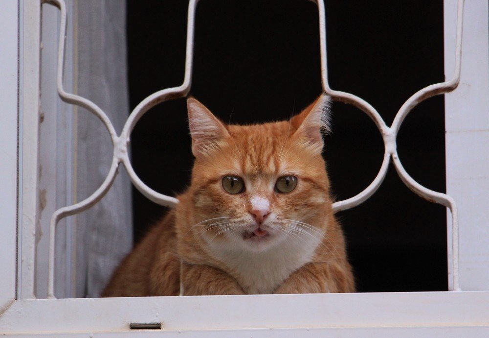 Photograph by Людмила Бутова