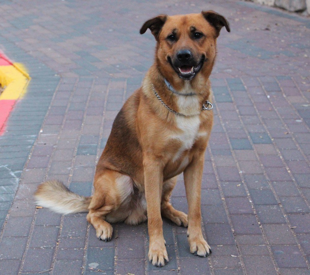 Photograph by Людмила Бутова