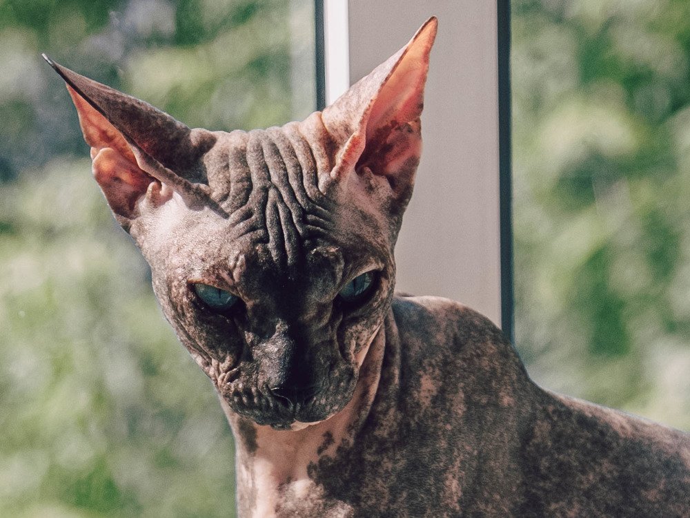 Photograph by Татьяна Ефименко