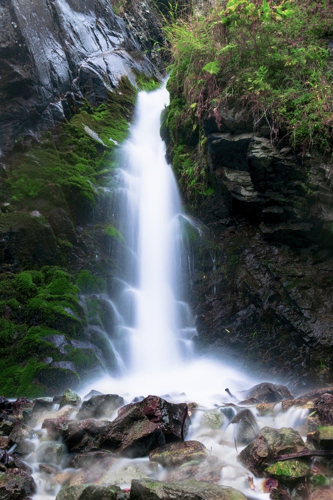 Photograph by Илья Десна