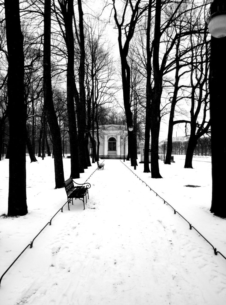 Photograph by xoxaxoxa