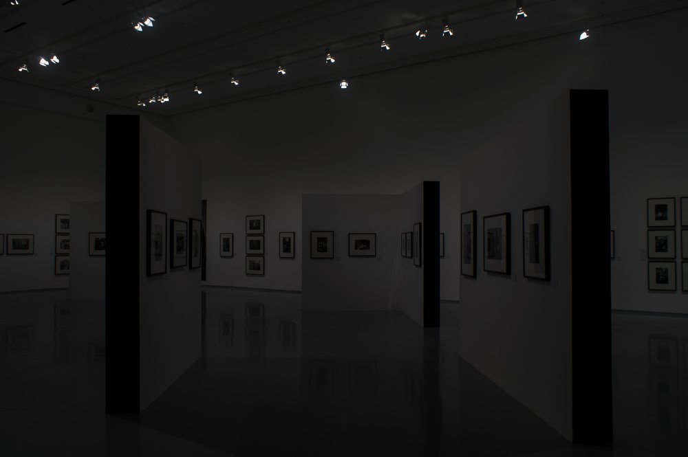 Photograph by Анастасия