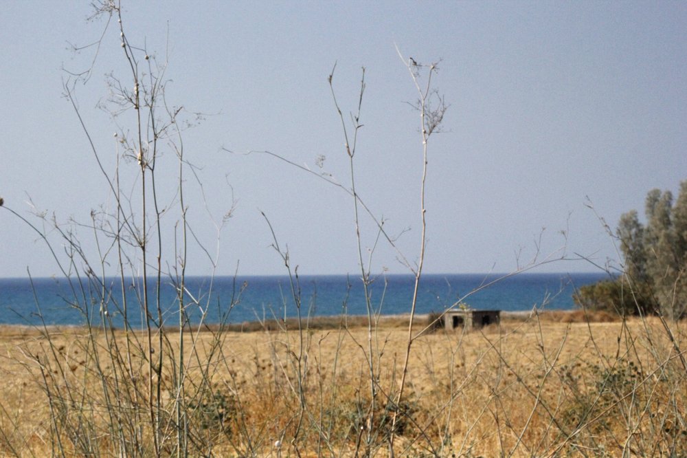 Photograph by Street Hyena