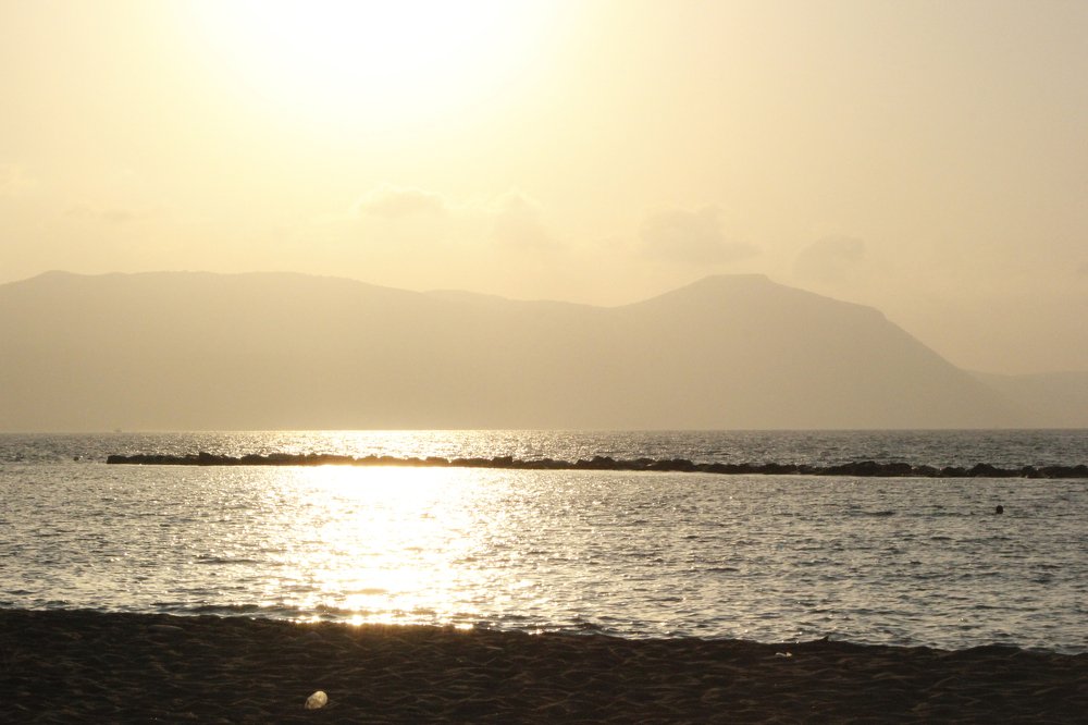 Photograph by Street Hyena