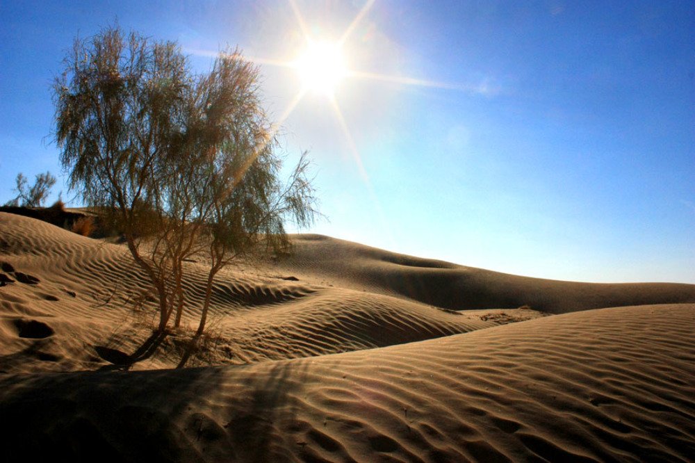 Фотография автора Игорь Ломов