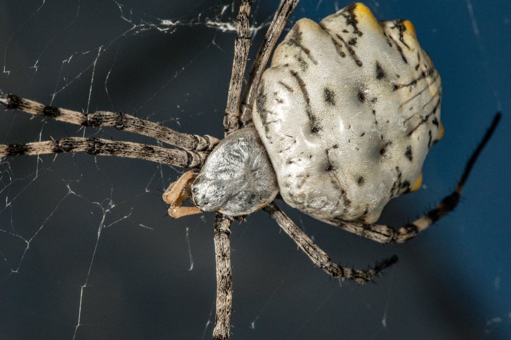 Photograph by Rimma Volchenko