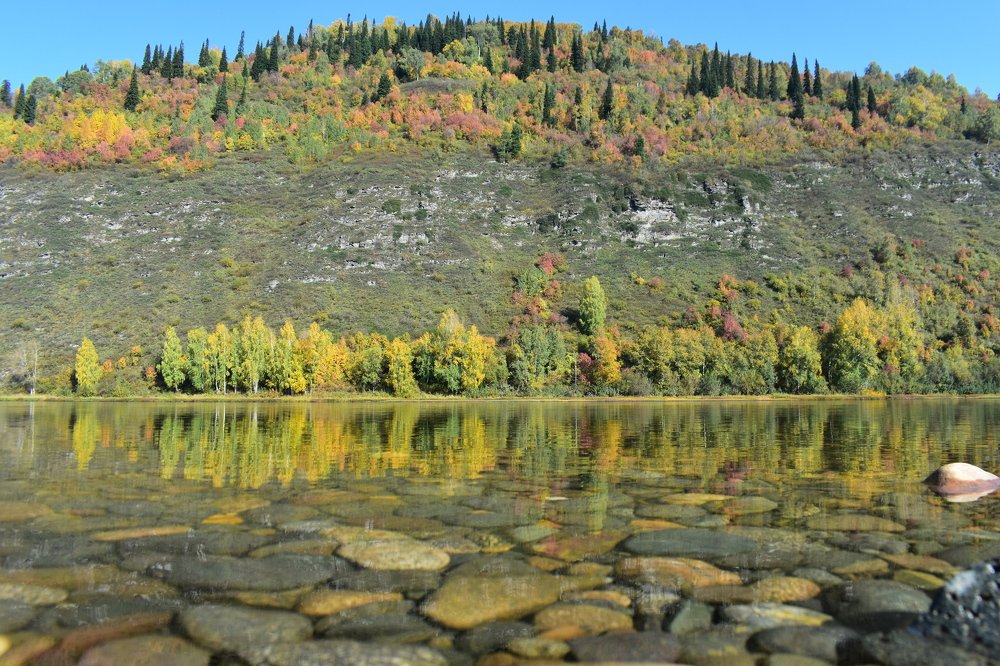 Наша золотая осень.