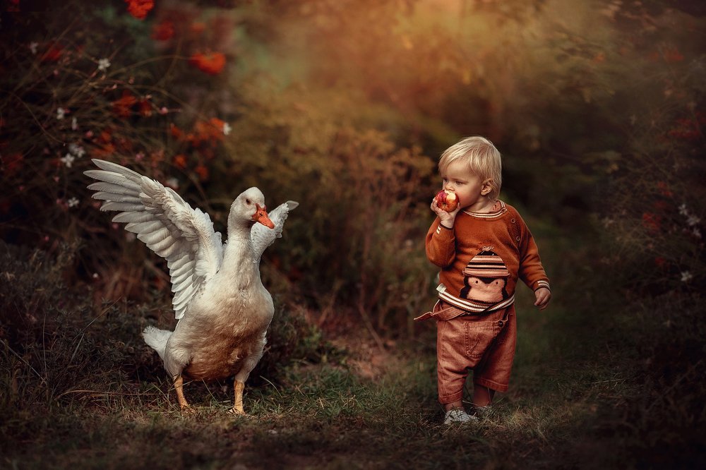 Фотография автора Наталья Водовозова