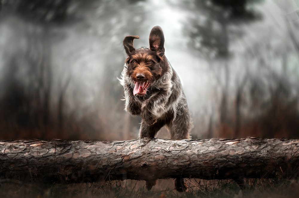 Photograph by Екатерина Кикоть