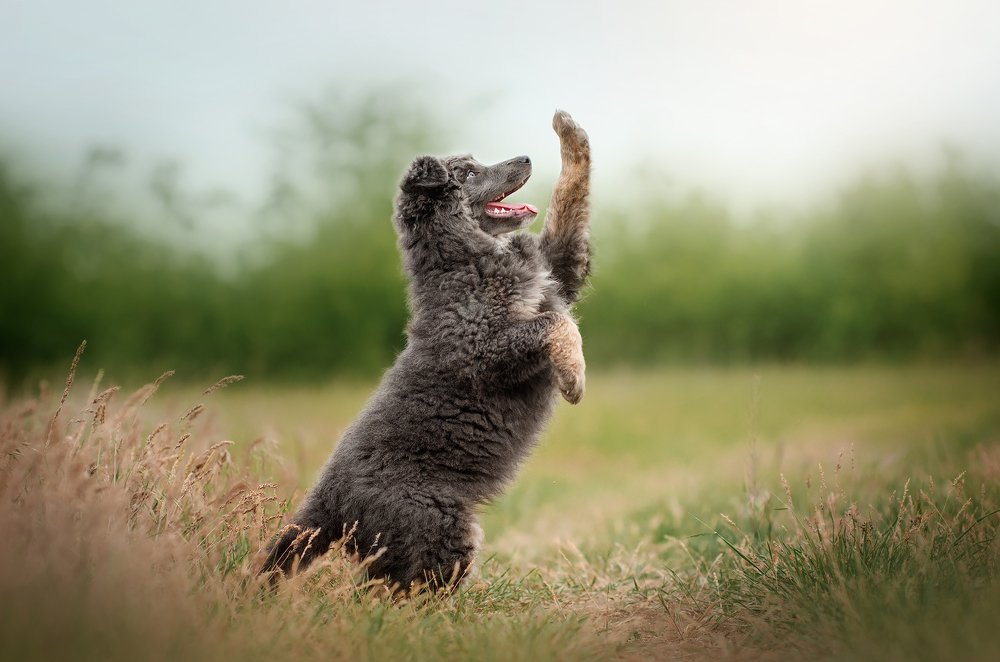 Photograph by Екатерина Кикоть