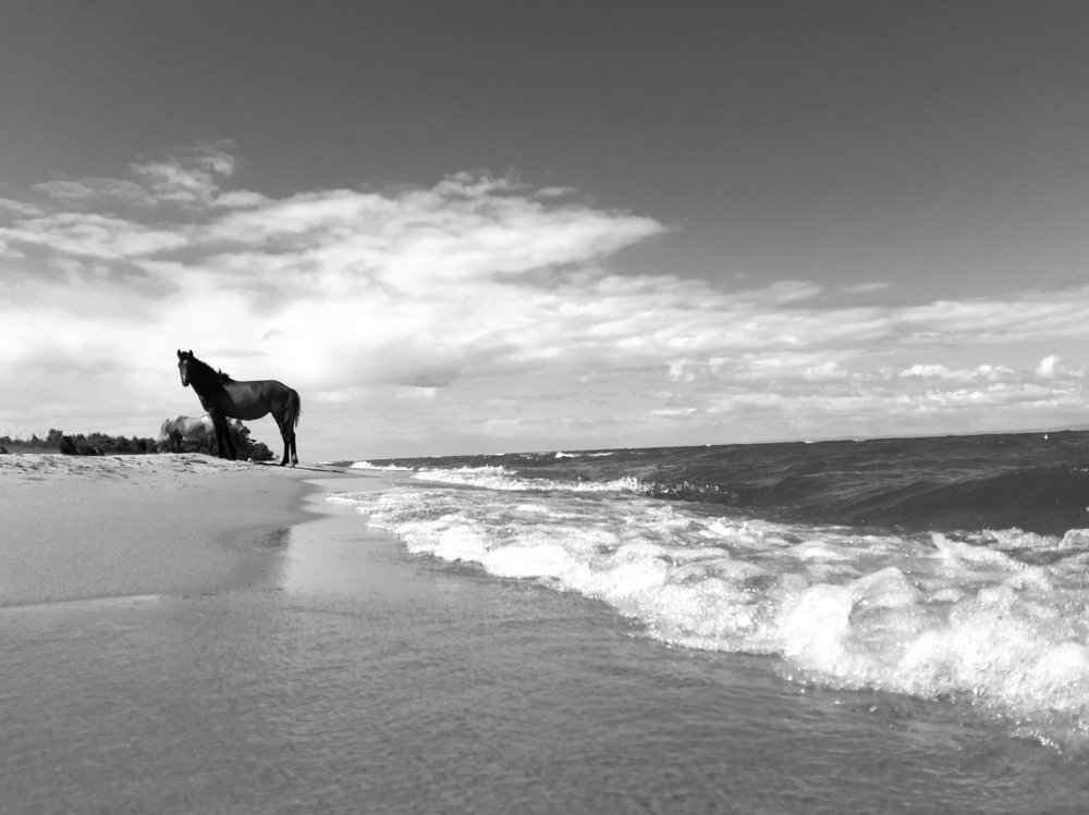 Photo #4982258