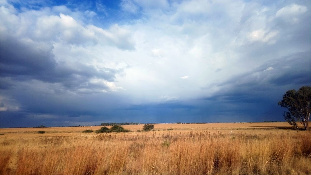 Photograph by Carina Ellis