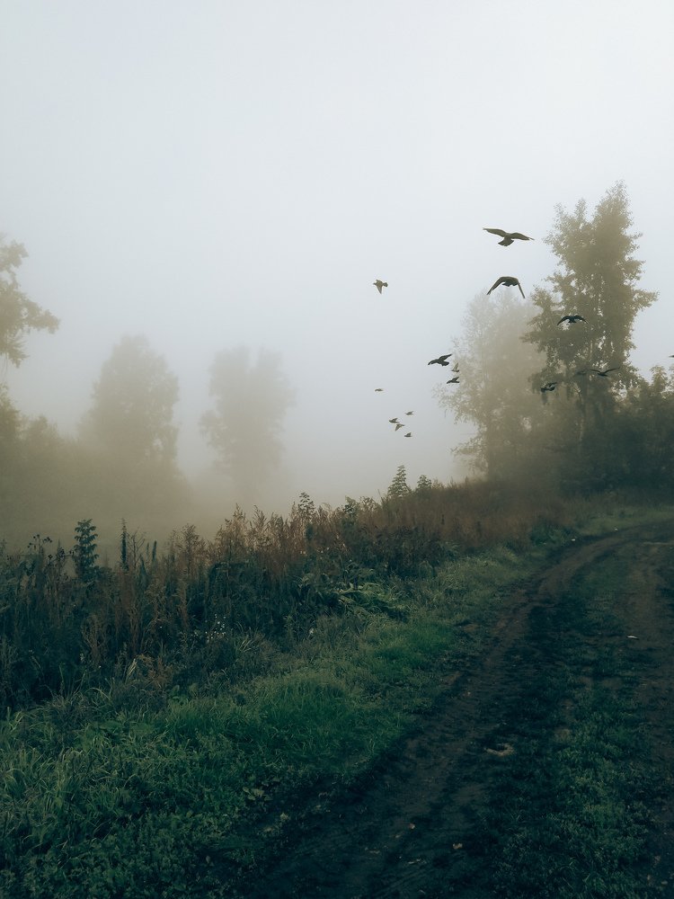 Photograph by Марина Чусова