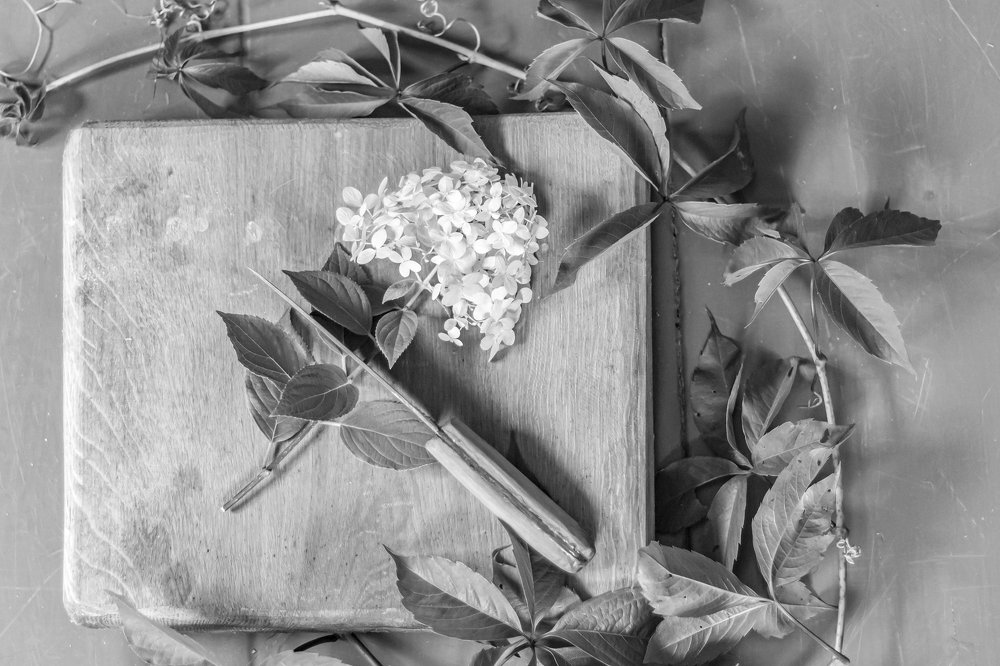 Photograph by Инна Тычная