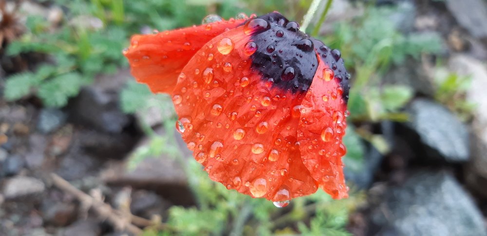 Photograph by Армине Унанян