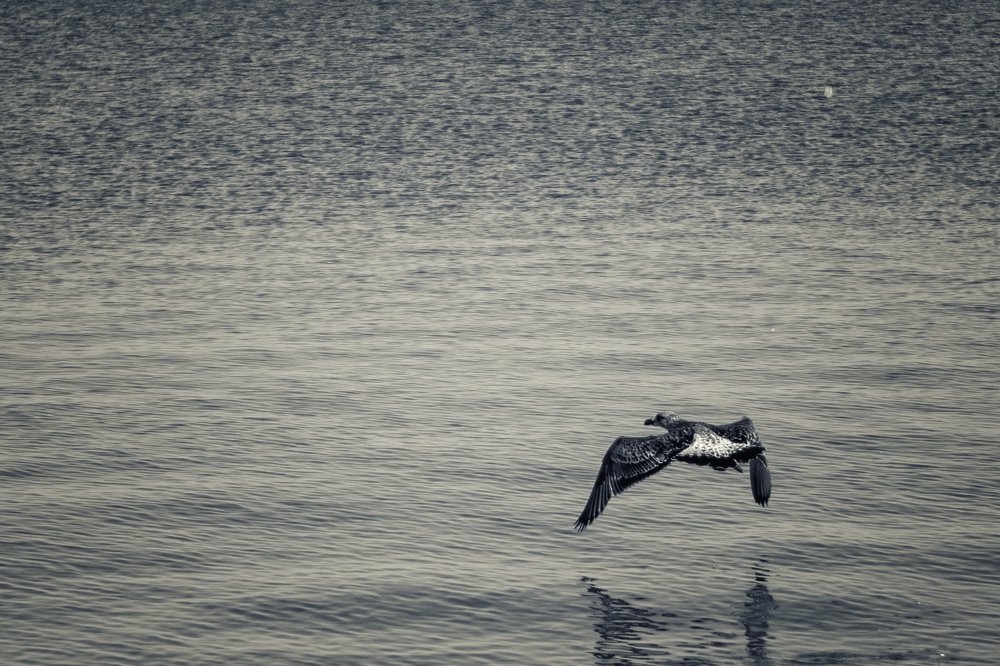 Photograph by Демьян Лопатов