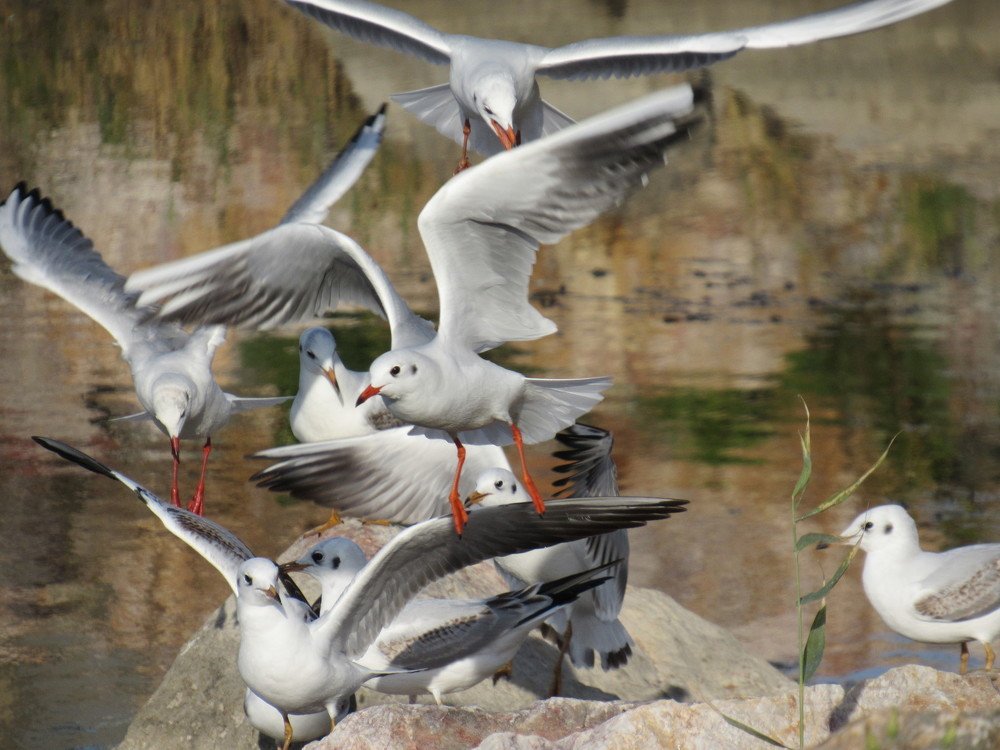 Photograph by Марина Савченко