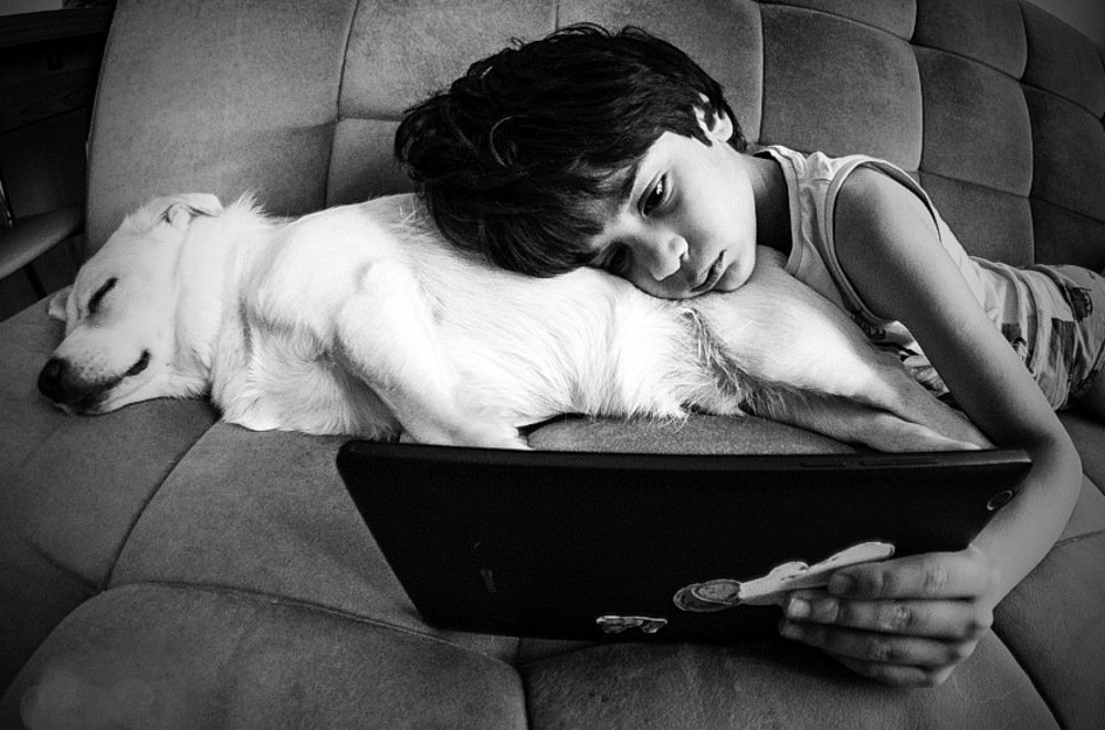 Photograph by DAMOUN POURNEMATI