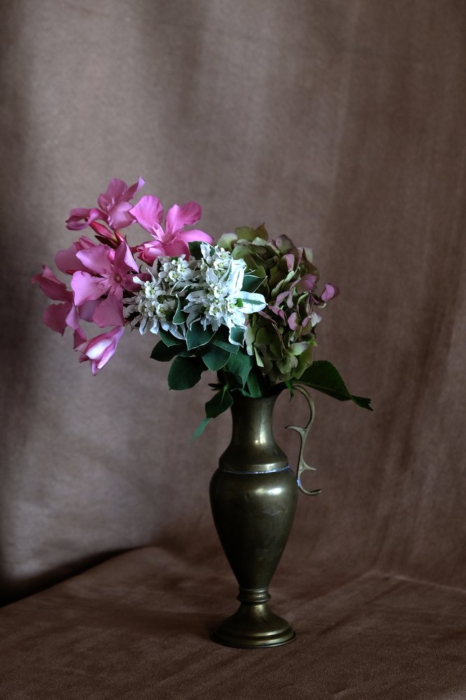 Saksıda Çiçekler IV